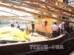 Vụ tàu vỏ thép hư hỏng tại Bình Định: Ngư dân và doanh nghiệp đồng thuận phương án sửa chữa 
